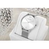 Laikrodis Damski CALVIN KLEIN Timeless Mesh 25200001 + BOX