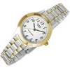 Laikrodis CASIO LTP-1263PG-7BEG