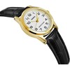 Moteriškas laikrodis CASIO LTP-V001GL-7B + BOX