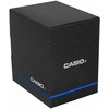 Laikrodis Casio LW-204-4AEF