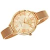 Laikrodis G. ROSSI WATCH - G.R10296B5-4D2 (zg871d) + BOX