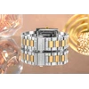 Laikrodis Michael Kors Damski Essex + Box (MK4967)