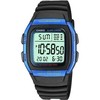 Vyriškas laikrodis CASIO W-96H-2AVDF + BOX
