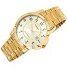 Vyriškas laikrodis CASIO MTP-V004G 9B (zd047a) + BOX