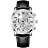 Vyriškas laikrodis Giewont Chronograph Sapphire Sidabrinė GW6260-A1