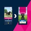 Eukanuba Mature (6-9 m.) Large Breed 15 kg