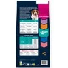 Šunų Maistas - EUKANUBA Suaugusiųjų Mažų/vidutinių Veislių Lašiša ir Miežiai 12kg