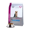 Eukanuba Yorkshire Terrier Adult (vištiena) 2kg