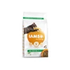 IAMS Adult Cat (ėriena) 10kg