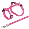 Trixie Komplektas katei nailoninis su petnešom,XL,34-57 cm/13mm, 1,20m
