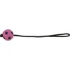 TRIXIE Sport kamuolys su virve, plūduriuojantis, putų guma, ø 6-30 cm