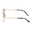 Akiniai WEB EYEWEAR WE0243-32G. Akiniai przeciwsłoneczne, Kolor auksinė. Unisex.