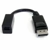 AV adapteris StarTech Rodyti Port mini - DisplayPort juodas (DP2MDPFF6IN)