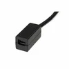 AV adapteris StarTech Rodyti Port mini - DisplayPort juodas (DP2MDPFF6IN)