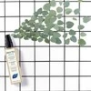 Phyto Paris Phyto Detox Rehab Mistas galvos oda ir plaukams 150ml