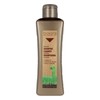 Atstatantis šampūnas Biokera Arganology Salerm Argano aliejus (300 ml)