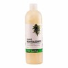 Tot Herba asiūklių ir šalavijų šampūnas 500ml