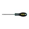 Atsuktuvas Stanley Fatmax T20x100 mm