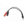 GEMBIRD CCA-417W Gembird adapteris stereo mini lizdas (M) 4 kontaktų -> 2 mini lizdai (F), 20 cm, baltas