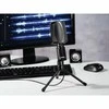 Mikrofonas Hama MIC-USB Allround (139906)
