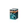 Osram lemputės, H7, Cool Mėlyna® Intense NextGeneration, 5000K, 55W