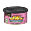 California Scents Kalifornijos kvapai Automobilių kvapai Shasta Braškės