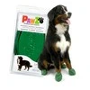 PAWZ - Šuns batai XL dydžio - Žali (632.8052)