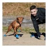 PAWZ - Šuns batai XL dydžio - Žali (632.8052)
