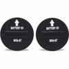 PetSafe 6 V RFA-67 ličio elementas dresūros sistemom 2vnt