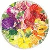 Ravensburger Dėlionė 500 vnt. - Vaisiai ir daržovės