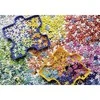 Ravensburger Dėlionė 1000 vnt. - Spalvingos dėlionės dalys