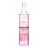 Satisfyer Lubricants Purškiklis dezinfekavimo priedams satisfier 300ml