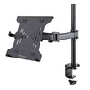 Laikiklis StarTech LAPTOP DESK MOUNT. VESA TRAY/.