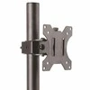 StarTech Darbastalio laikiklis monitoriuje 13 "- 34" (ARMPIVOTV2)