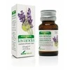 Soria Levandų eterinis aliejus 15ml