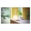 Pranarôm Joy Essential Oil Diffuser Premium Edition eterinių aliejų difuzorius