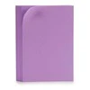 Pincello Eva guminis Violetinė 10 (30 x 2 x 20 cm) (10 Dalys)