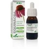 Soria Extracto Equinacea S Xxi 50ml