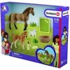 Schleich Horse Club 42432 Sarahs Cub priežiūros rinkinys