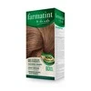 Farmatint Permanent Color Gel 6D Dark Golden Blond 150ml Plaukų dažai