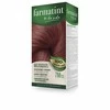Farmatint 7m Raudonmedžio blondinė plaukų dažai 135ml