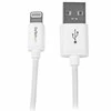 Kabelis USB StarTech USB-A - Lightning 1 m Baltas (USBLT1MW)
