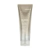 Joico - Skirtas šviesiems plaukams Life Brightening Conditioner 250 ml
