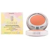 Clinique Beyond Perfecting Powder Foundation + Maskuoklis, 14,5 g