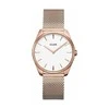 Laikrodis Watches CLUSE Watches CW0101212002