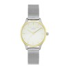 Laikrodis TED BAKER TE50704001. Kwarcowy, Kolor balta. Kobieta.