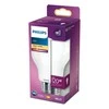 LED lemputė PHILIPS, A67, E27, 13 W, 2000 lm, 2700 K