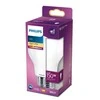 LED lemputė PHILIPS, A67, E27, 17,5 W, 2500 lm, 2700 K