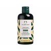 „The Body Shop“ kondicionierius sausiems plaukams su bananų skoniu (kondicionierius), 250 ml