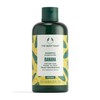 Maitinantis šampūnas The Body Shop Banana 250 ml